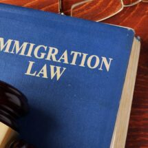What are the most important Italy immigration laws?